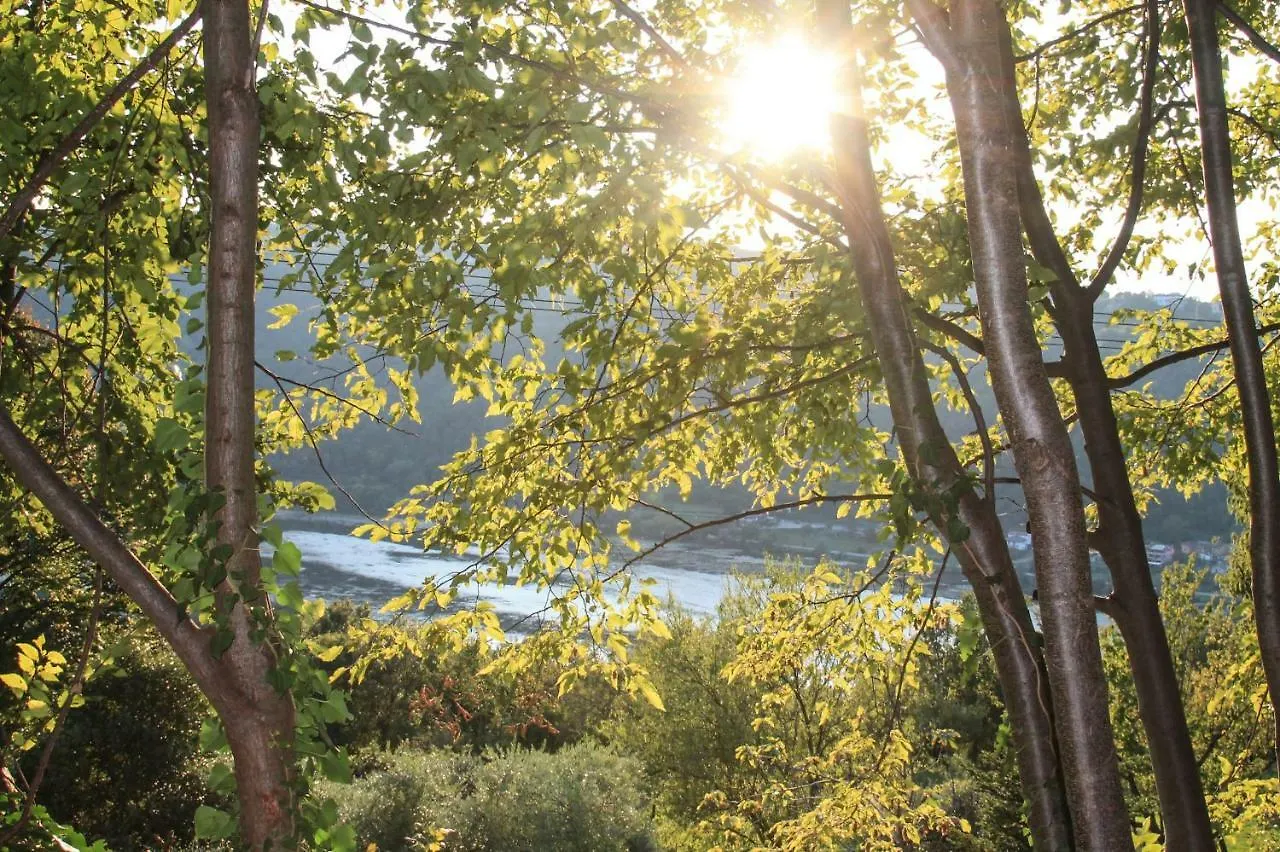 Bed And Breakfast La Quiete Arcugnano Bed & Breakfast